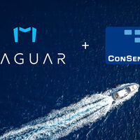 Maguar Capital wird Wachstumspartner von ConSense