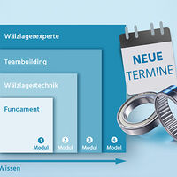 Experten Know-how selbst aufbauen oder als Service wahrnehmen: Wälzlagerschäden bestimmen mit Findling Wälzlager